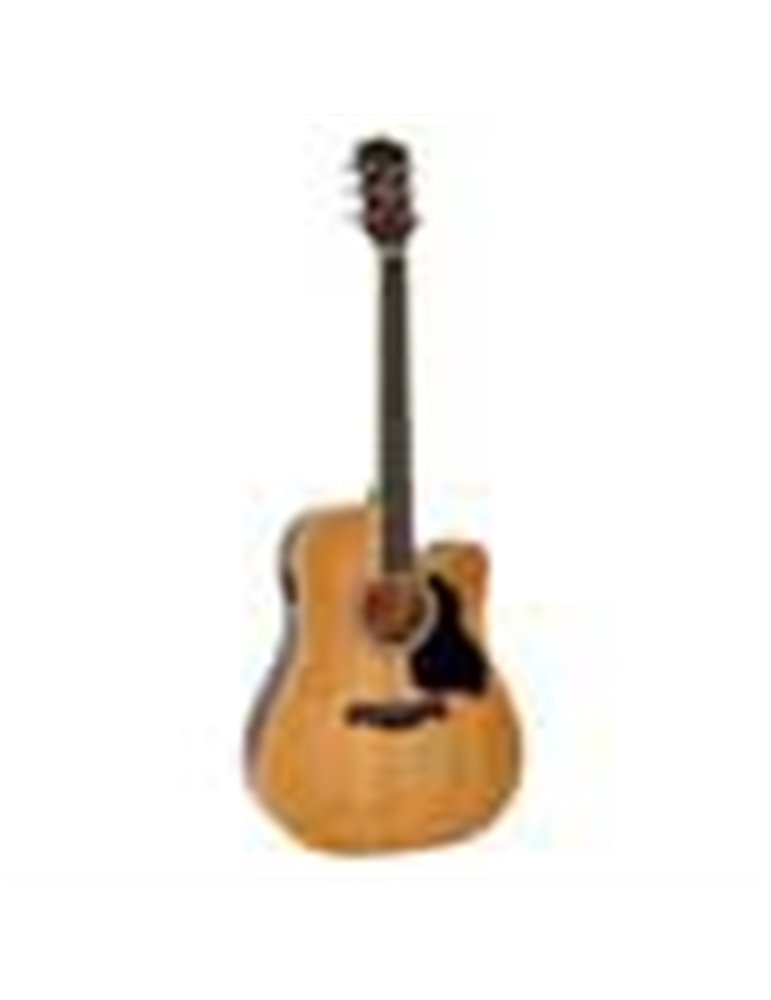 Guit. acú. E Dreadnought Richwood Natural