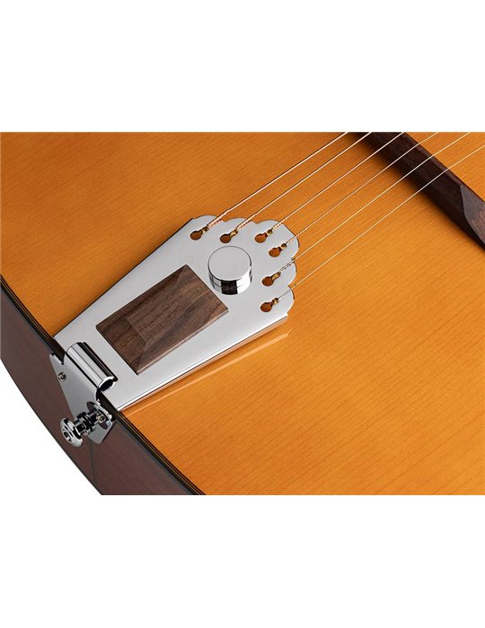 Guit. jazz Hot Club Richwood boca ovalada