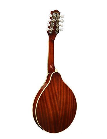Mandolina estilo A Richwood abeto sunburst 2