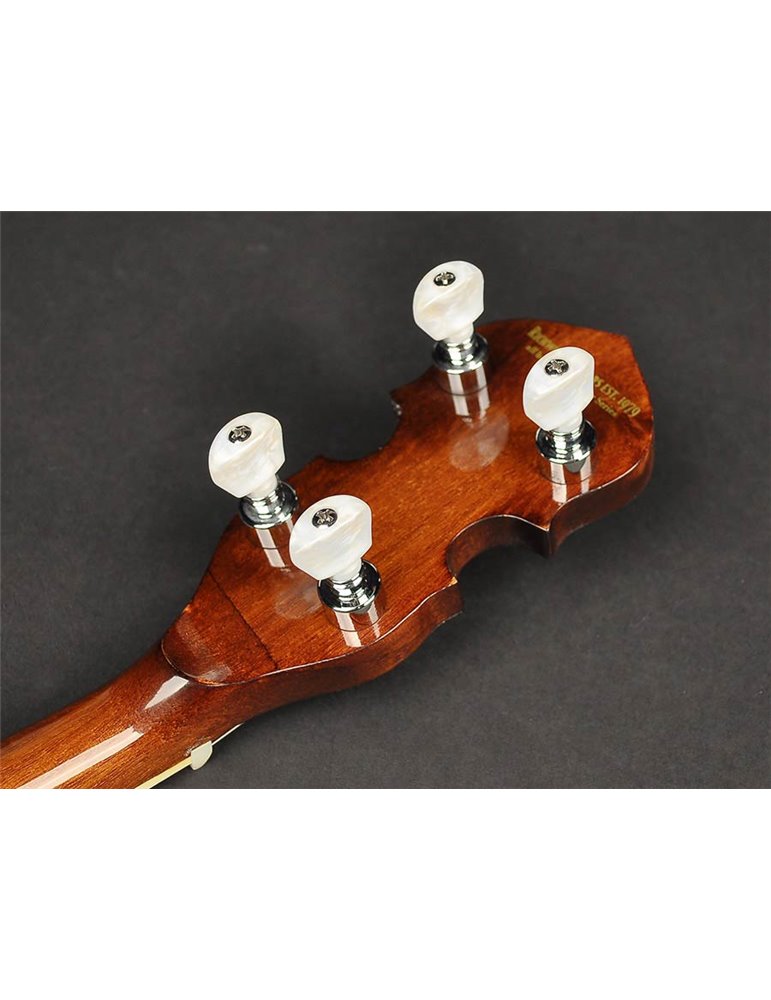Banjo 4 c. Richwood 24T