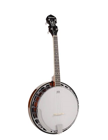 Banjo 4 c. Richwood caoba 24T 17 trastes