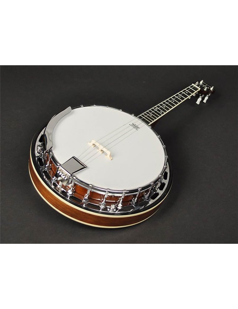 Banjo 4 c. Richwood caoba 24T 17 trastes
