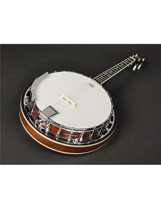 Banjo 4 c. Richwood caoba 24T 17 trastes