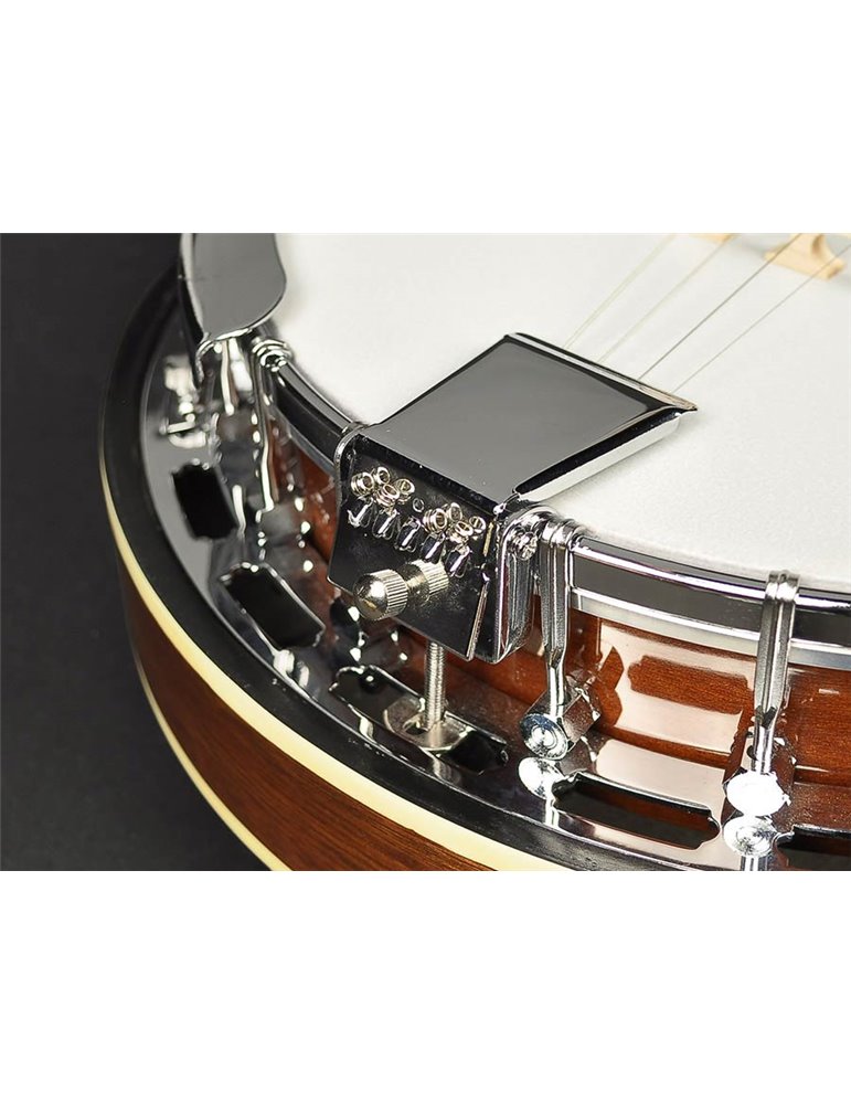 Banjo 4 c. Richwood caoba 24T 17 trastes