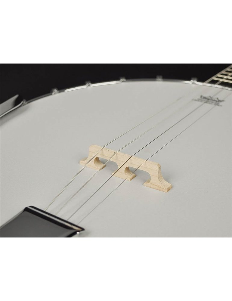 Banjo 4 c. Richwood caoba 24T 17 trastes
