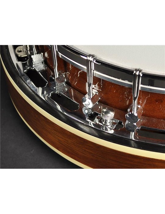 Banjo 4 c. Richwood caoba 24T 17 trastes