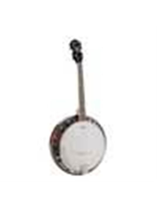 Banjo 4 c. Richwood caoba 24T 17 trastes