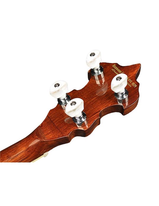 Banjo folk Richwood 5 cuerdas caoba 24 tensores