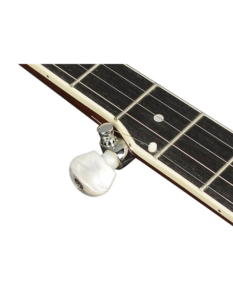 Banjo folk Richwood 5 cuerdas caoba 24 tensores