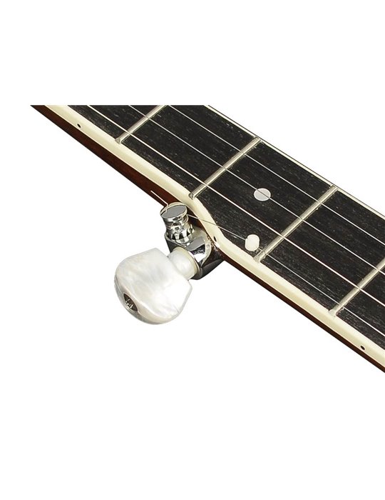 Banjo folk Richwood 5 cuerdas caoba 24 tensores