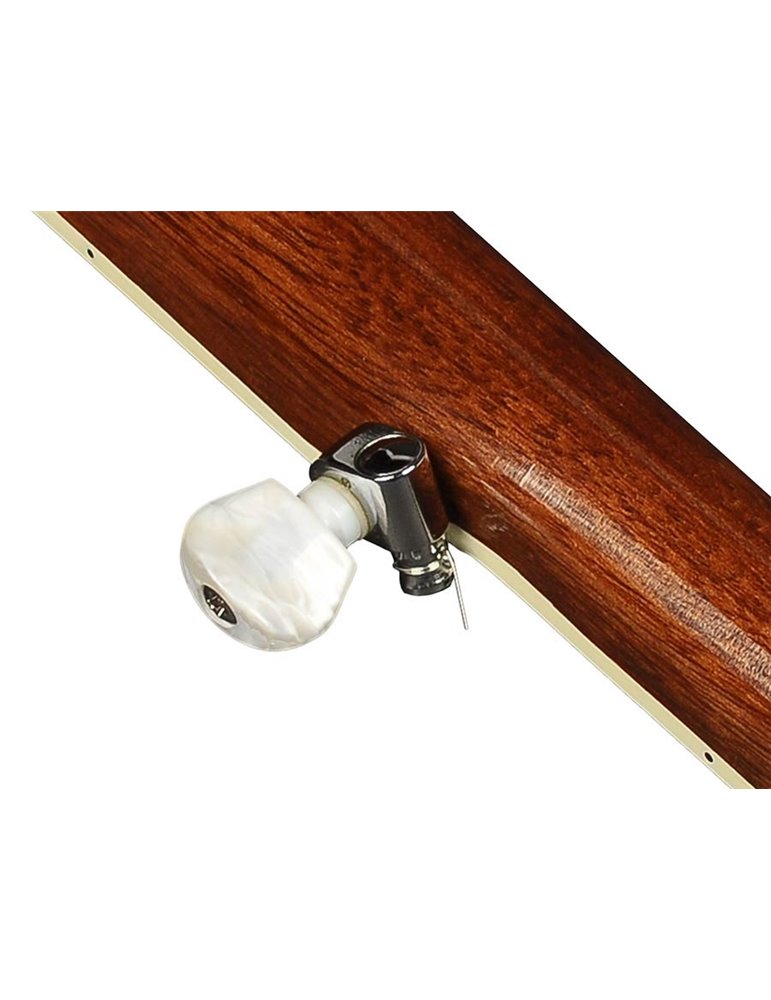 Banjo folk Richwood 5 cuerdas caoba 24 tensores