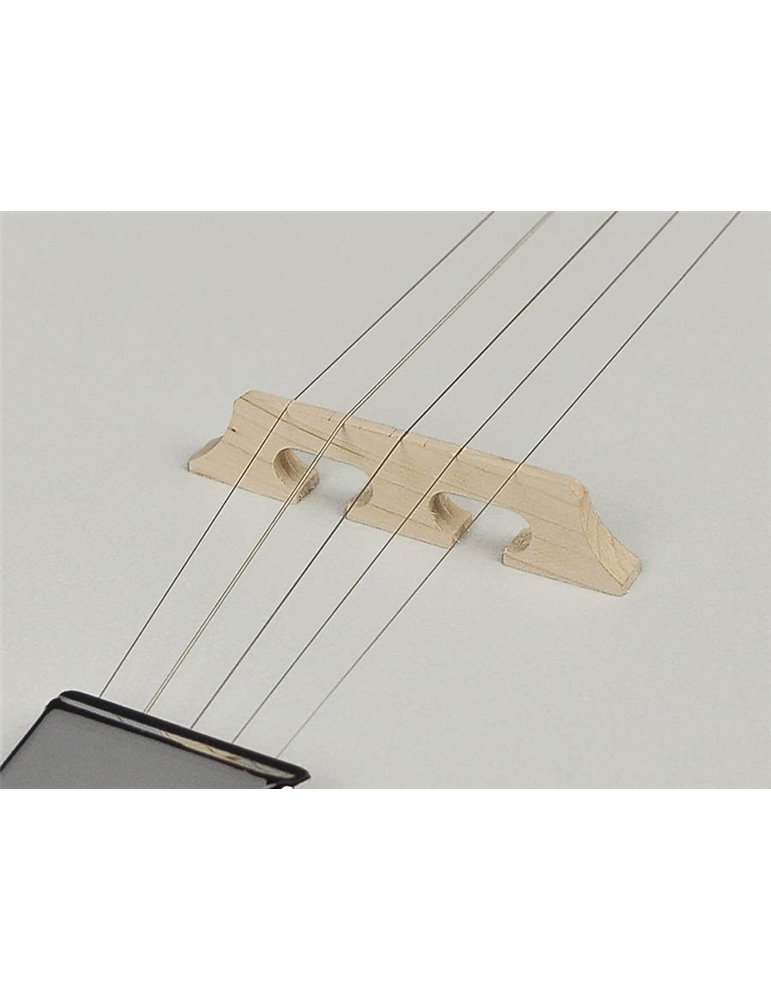 Banjo folk Richwood 5 cuerdas caoba 24 tensores