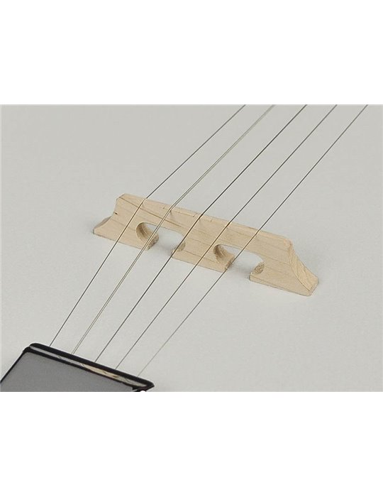 Banjo folk Richwood 5 cuerdas caoba 24 tensores