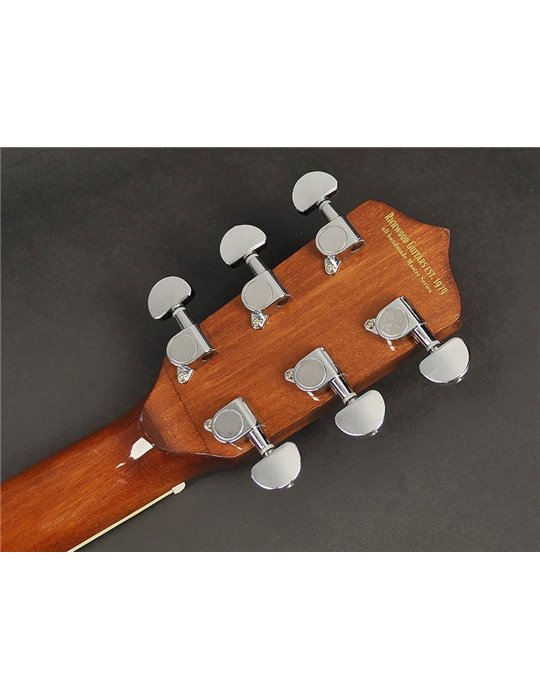 Banjo 6 cuerdas Richwood caoba 24T