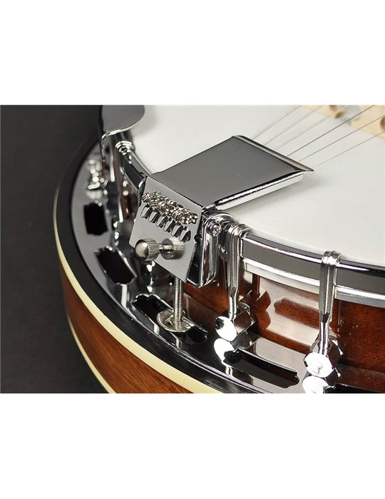 Banjo 6 cuerdas Richwood caoba 24T