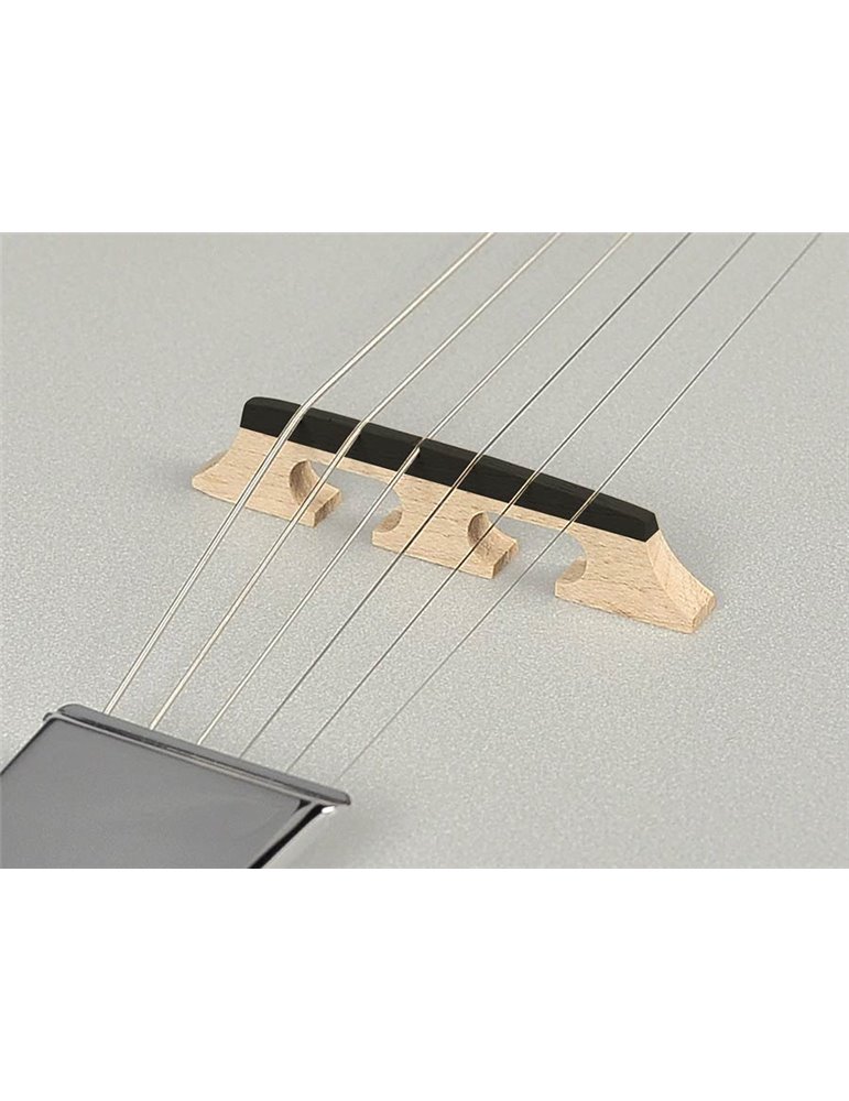 Banjo 6 cuerdas Richwood caoba 24T