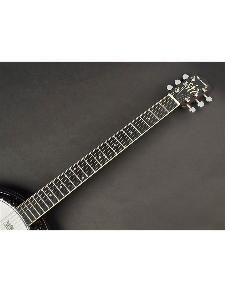 Banjo 6 cuerdas Richwood caoba 24T