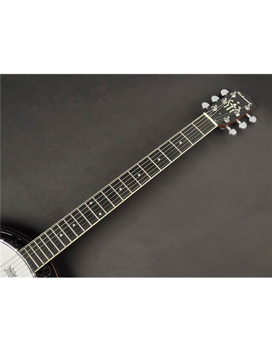 Banjo 6 cuerdas Richwood caoba 24T