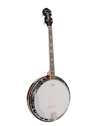 Banjo 4 c. Richwood aluminio 24T