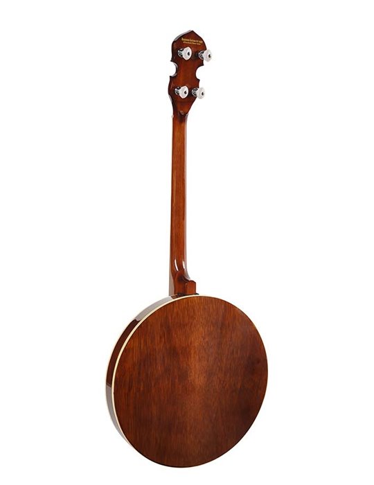 Banjo 4 c. Richwood aluminio 24T