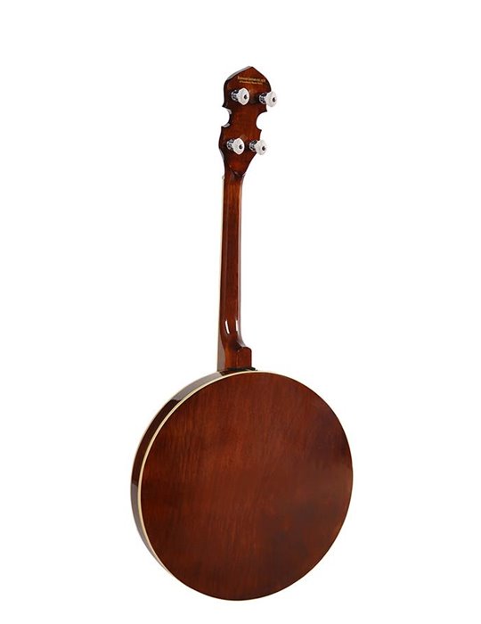 Banjo 4 c. Richwood aluminio 24T 17 trastes