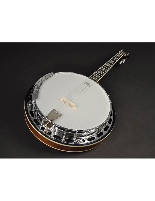 Banjo 4 c. Richwood aluminio 24T 17 trastes