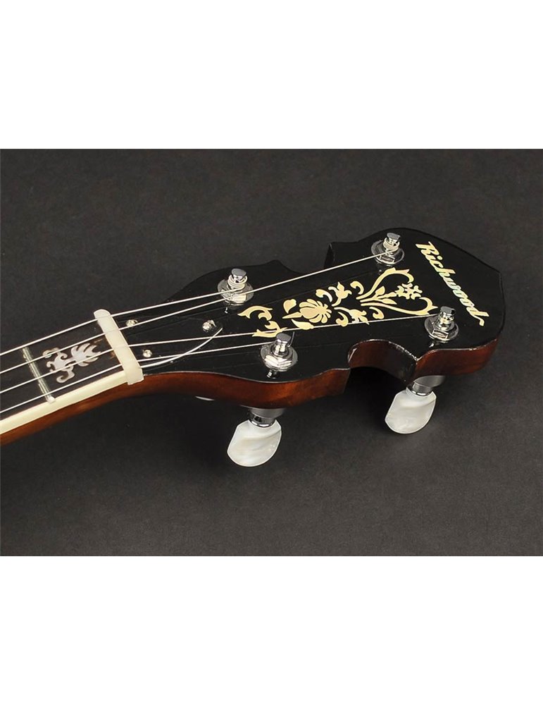 Banjo 4 c. Richwood aluminio 24T 17 trastes