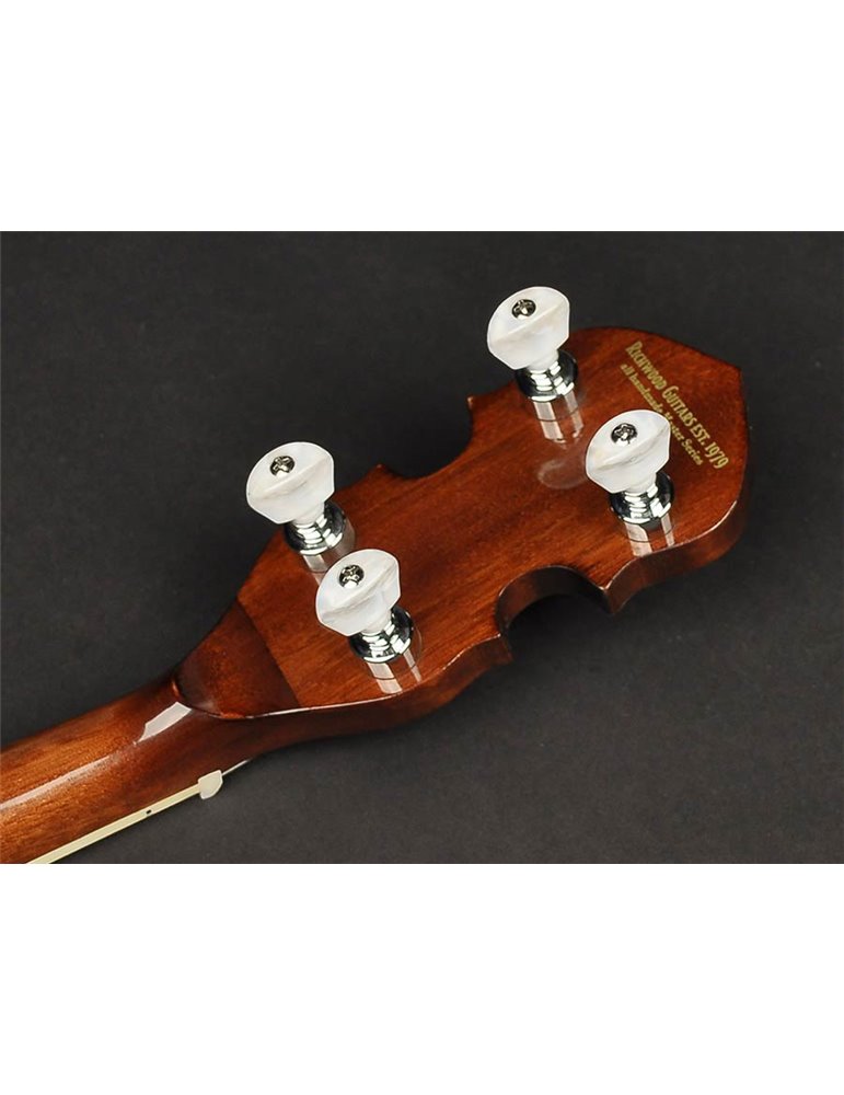 Banjo 4 c. Richwood aluminio 24T 17 trastes