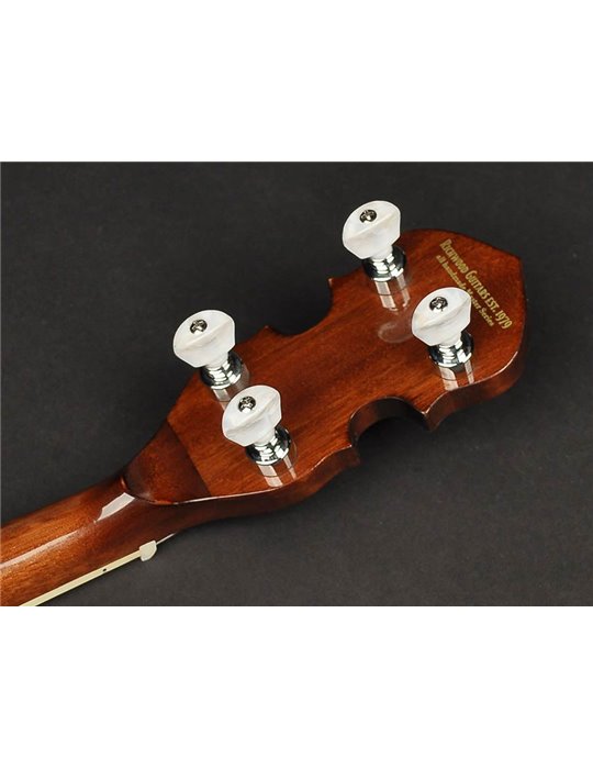 Banjo 4 c. Richwood aluminio 24T 17 trastes