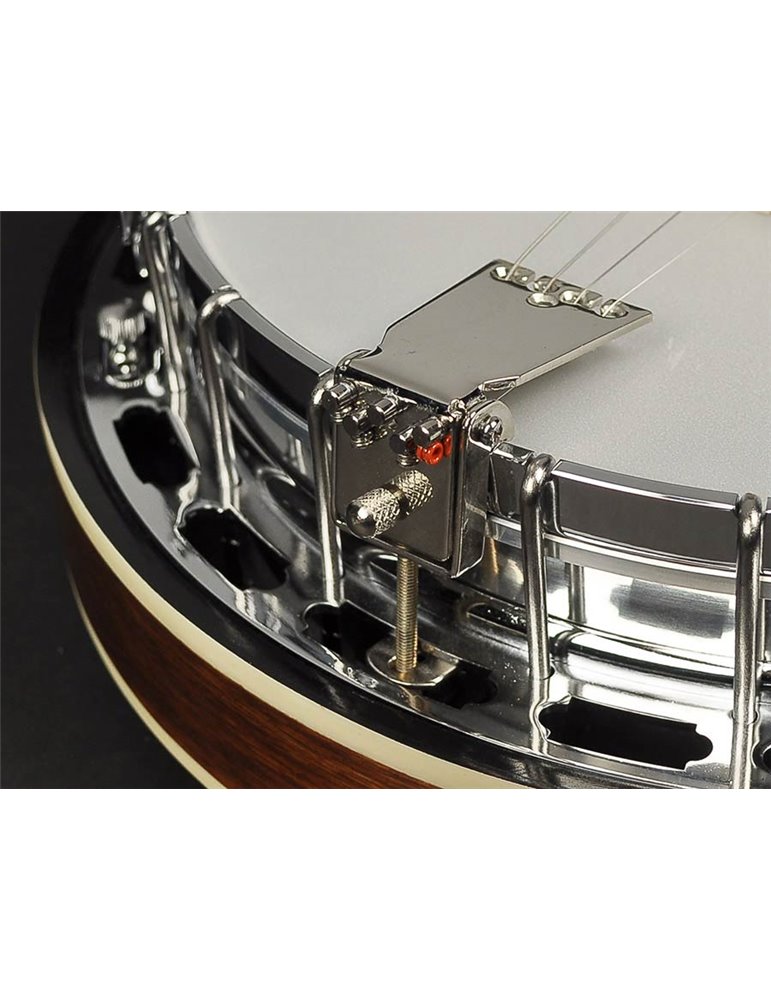 Banjo 4 c. Richwood aluminio 24T 17 trastes