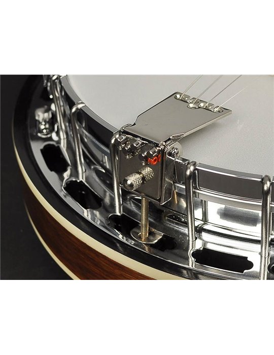 Banjo 4 c. Richwood aluminio 24T 17 trastes