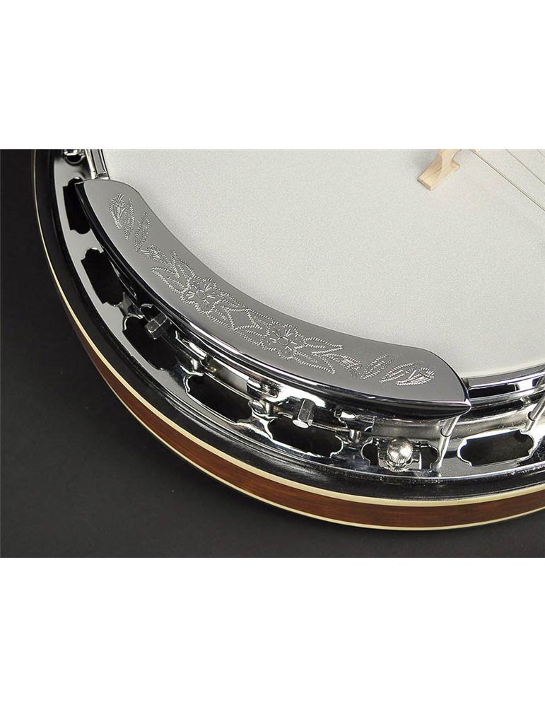 Banjo 4 c. Richwood aluminio 24T 17 trastes