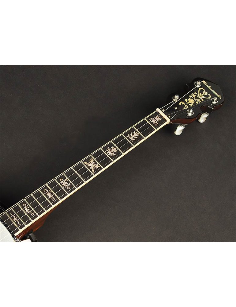 Banjo 4 c. Richwood aluminio 24T 17 trastes