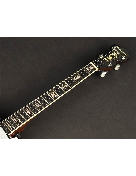 Banjo 4 c. Richwood aluminio 24T 17 trastes