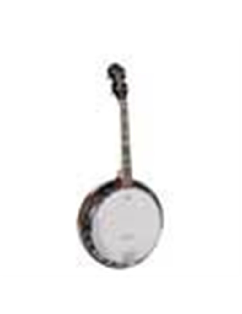 Banjo 4 c. Richwood aluminio 24T 17 trastes