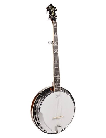 Banjo Bluegrass Richwood de 5 cuerdas 24T