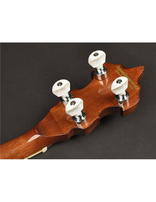 Banjo Bluegrass Richwood de 5 cuerdas 24T
