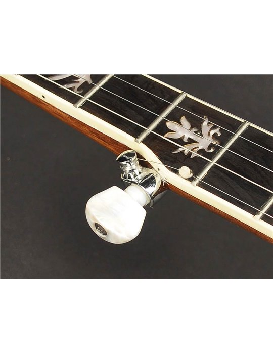 Banjo Bluegrass Richwood de 5 cuerdas 24T