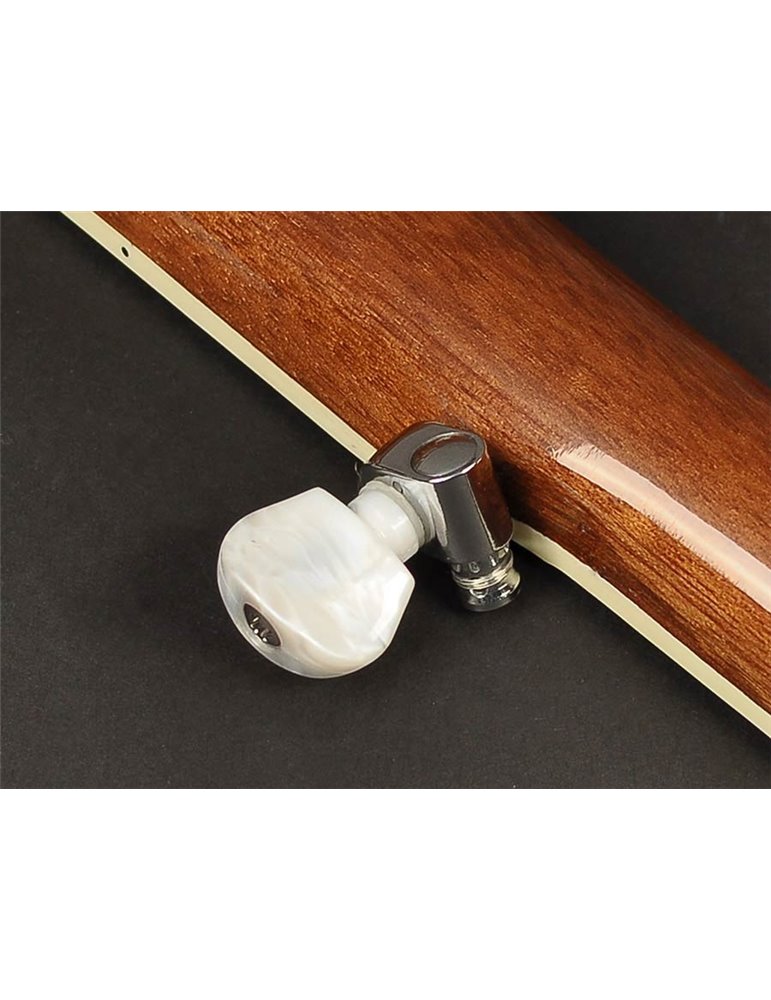 Banjo Bluegrass Richwood de 5 cuerdas 24T