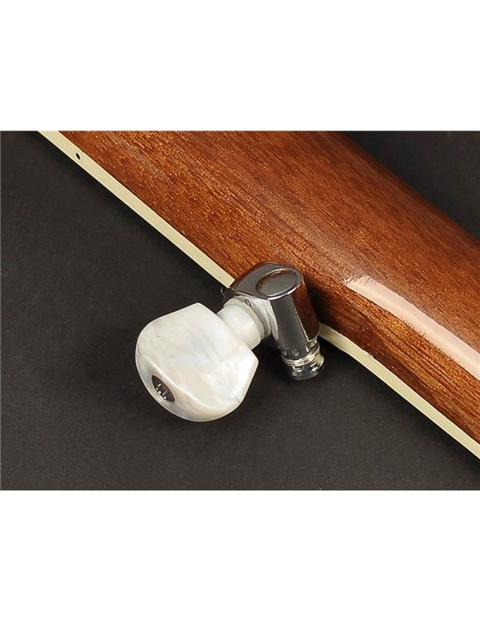 Banjo Bluegrass Richwood de 5 cuerdas 24T