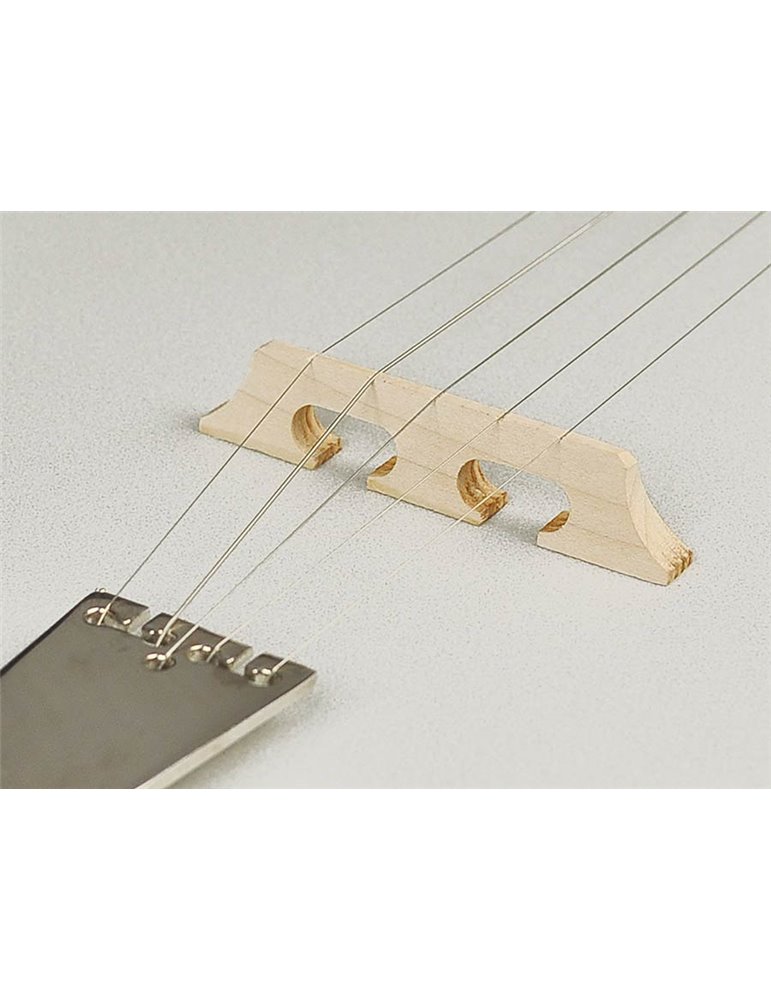 Banjo Bluegrass Richwood de 5 cuerdas 24T