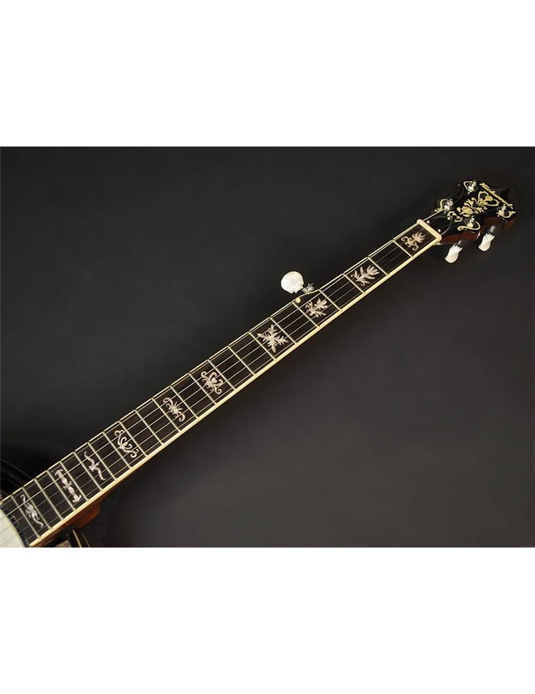 Banjo Bluegrass Richwood de 5 cuerdas 24T