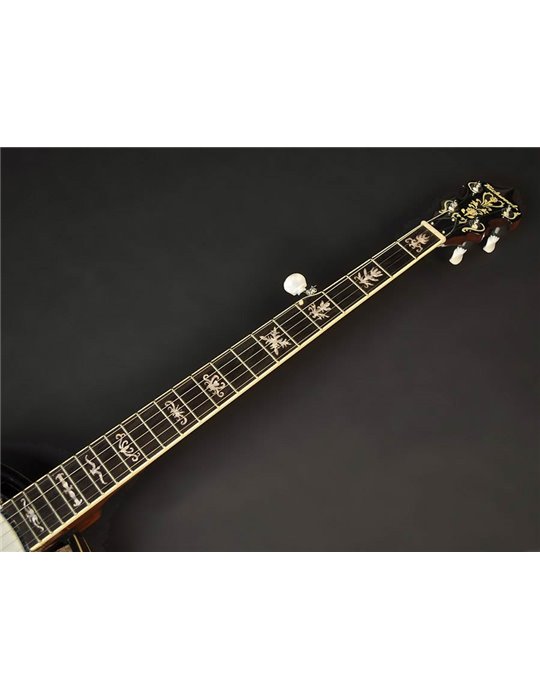 Banjo Bluegrass Richwood de 5 cuerdas 24T