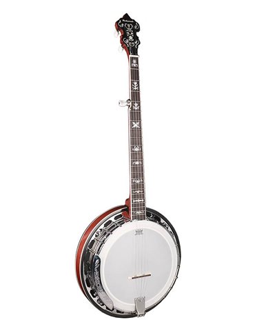 Banjo Bluegrass 5 cuerdas Richwood aluminio 24T