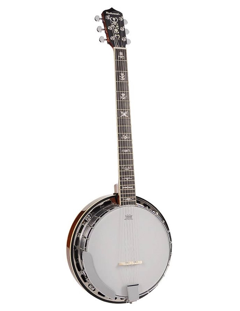 Banjo 6 cuerdas Richwood aluminio-ébano 24T