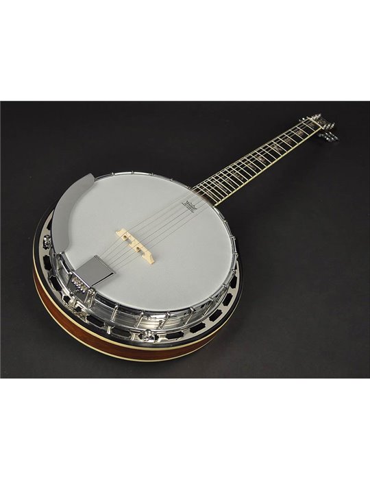 Banjo 6 cuerdas Richwood aluminio-ébano 24T