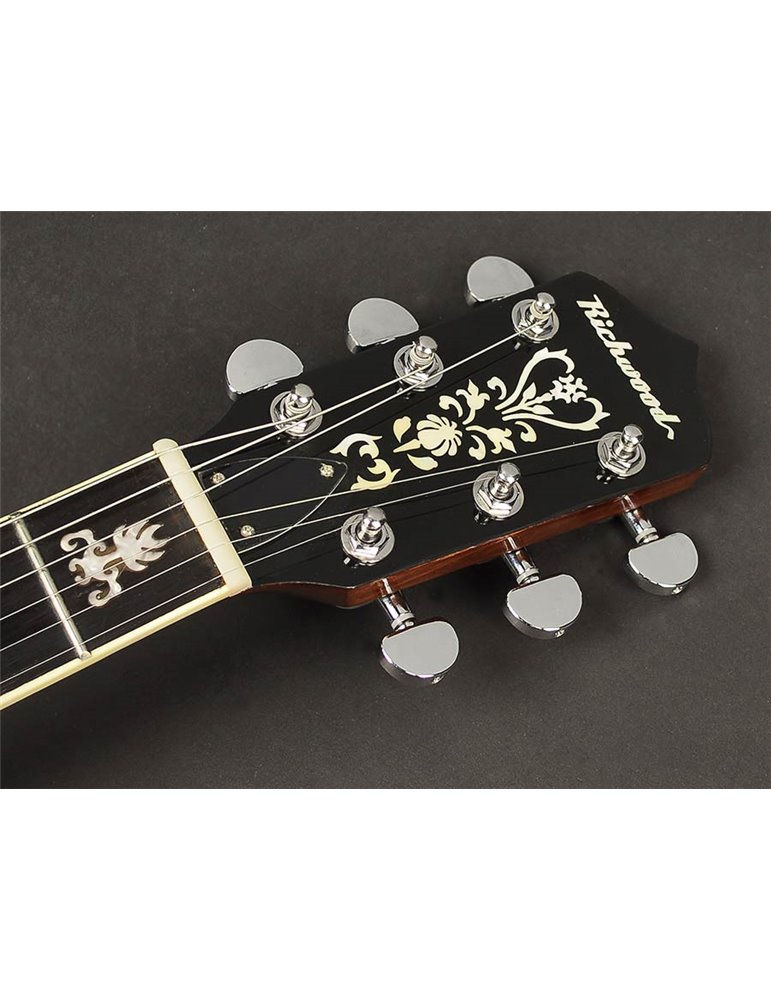 Banjo 6 cuerdas Richwood aluminio-ébano 24T