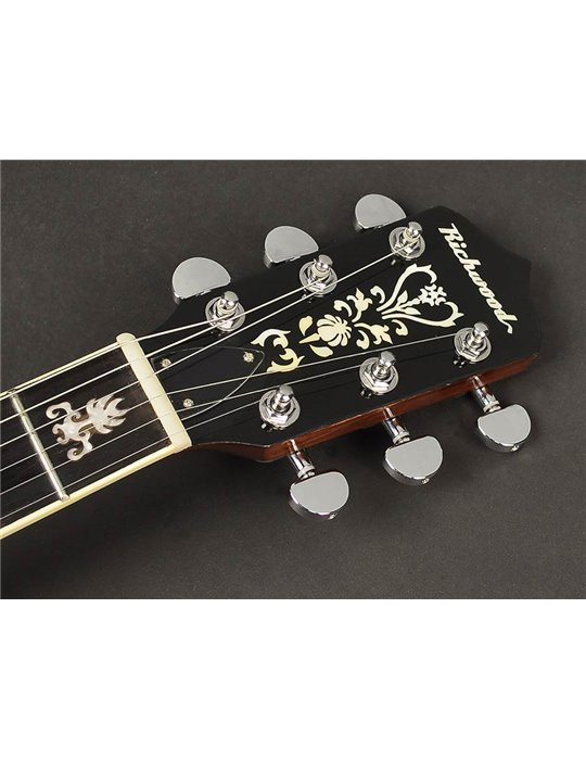 Banjo 6 cuerdas Richwood aluminio-ébano 24T