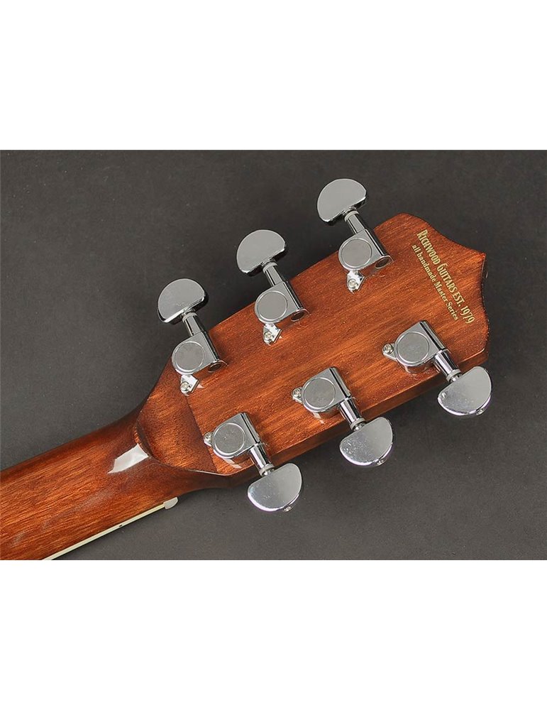 Banjo 6 cuerdas Richwood aluminio-ébano 24T
