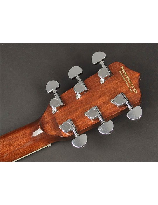 Banjo 6 cuerdas Richwood aluminio-ébano 24T